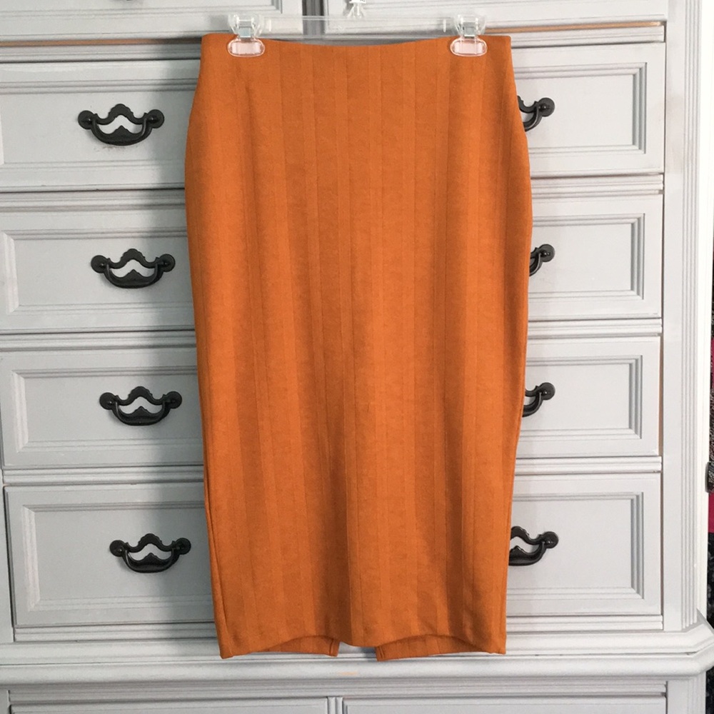 Zara Pencil Skirt